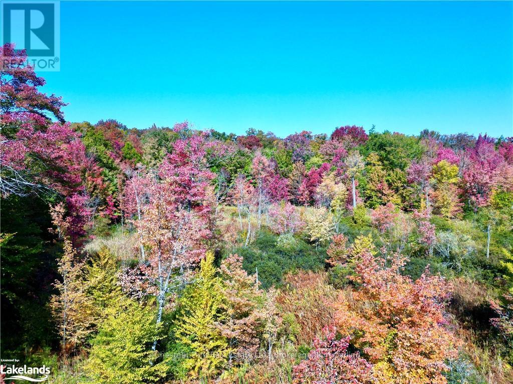 0 Acton Island Road, Muskoka Lakes, Ontario  P0B 1J0 - Photo 4 - X10438239