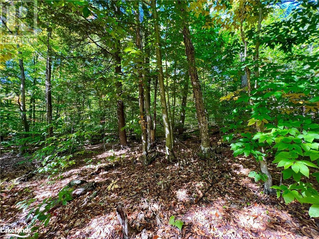 0 Acton Island Road, Muskoka Lakes, Ontario  P0B 1J0 - Photo 7 - X10438239