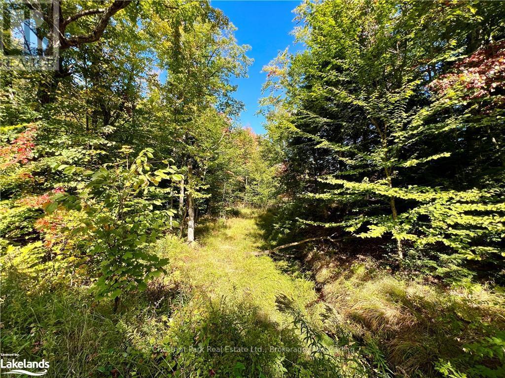 0 Acton Island Road, Muskoka Lakes, Ontario  P0B 1J0 - Photo 8 - X10438239