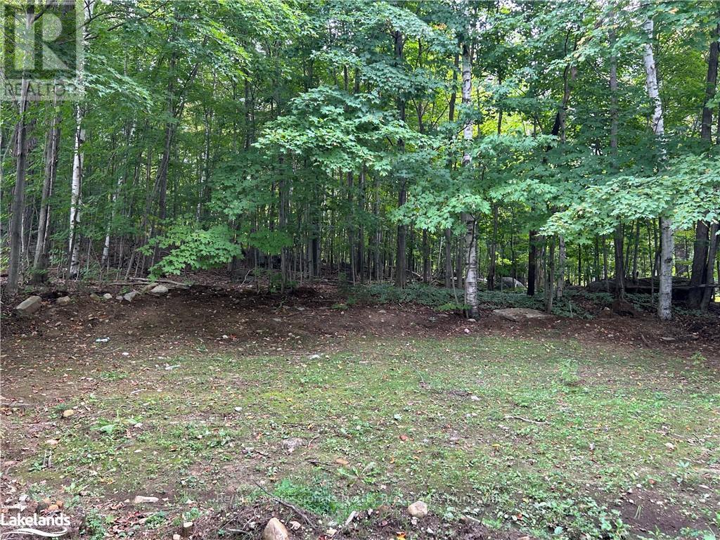 187 Main Street W, Huntsville, Ontario  P1H 1X9 - Photo 38 - X10438326