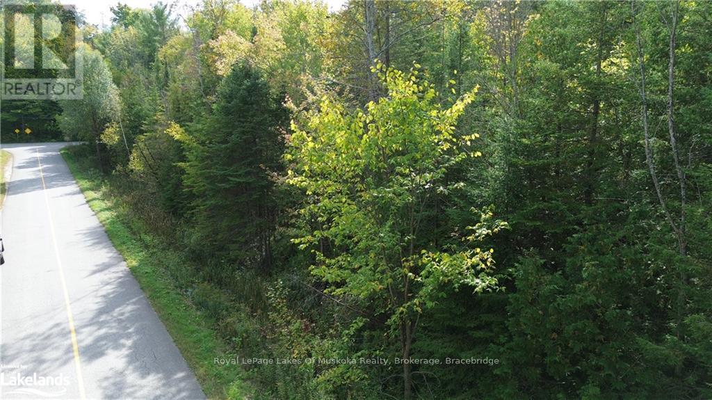 0 Mt St Louis Road, Oro-Medonte, Ontario  L0K 1E0 - Photo 14 - S10436543