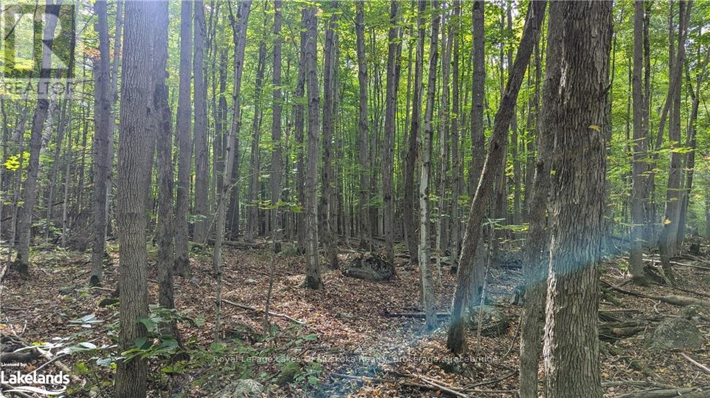 0 Mt St Louis Road, Oro-Medonte, Ontario  L0K 1E0 - Photo 19 - S10436543