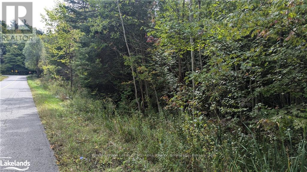 0 Mt St Louis Road, Oro-Medonte, Ontario  L0K 1E0 - Photo 7 - S10436543