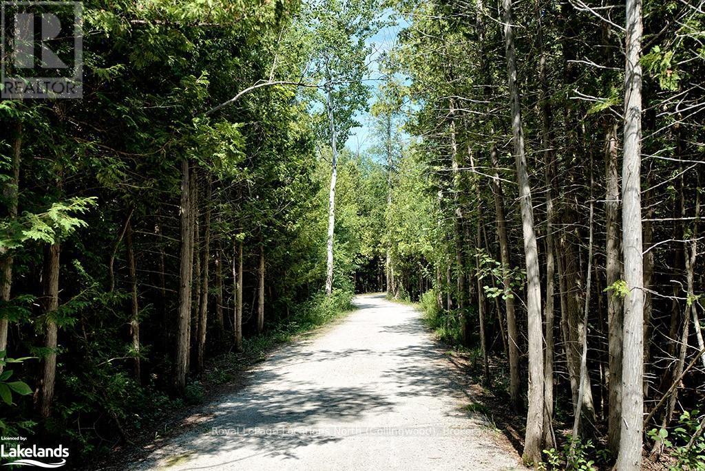 302 - 3 Brandy Lane Drive, Collingwood, Ontario  L9Y 0X4 - Photo 20 - S10437916