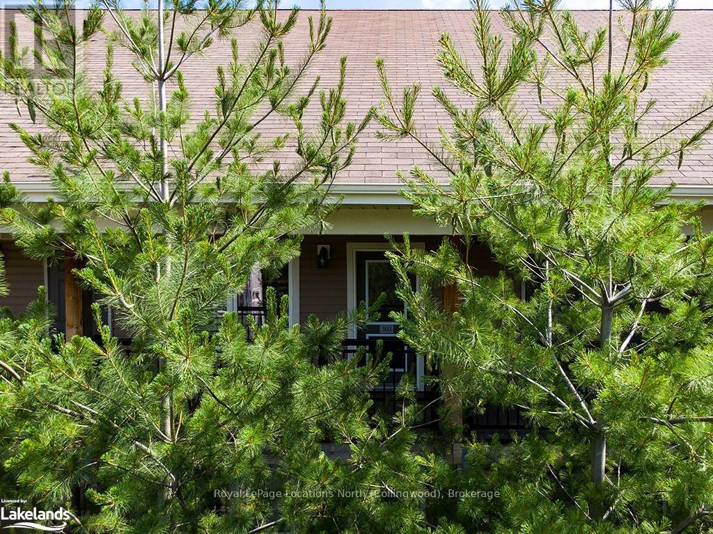 302 - 3 Brandy Lane Drive, Collingwood, Ontario  L9Y 0X4 - Photo 23 - S10437916