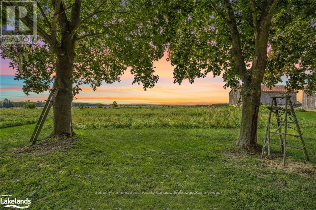 11162 County Road 10, Clearview, Ontario  L0M 1S0 - Photo 4 - S10439915