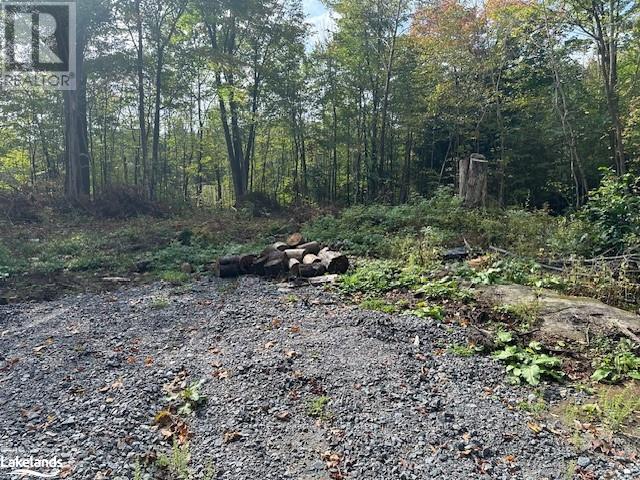 8 Dixon Road, Seguin, Ontario  P2A 2W8 - Photo 2 - X10434615