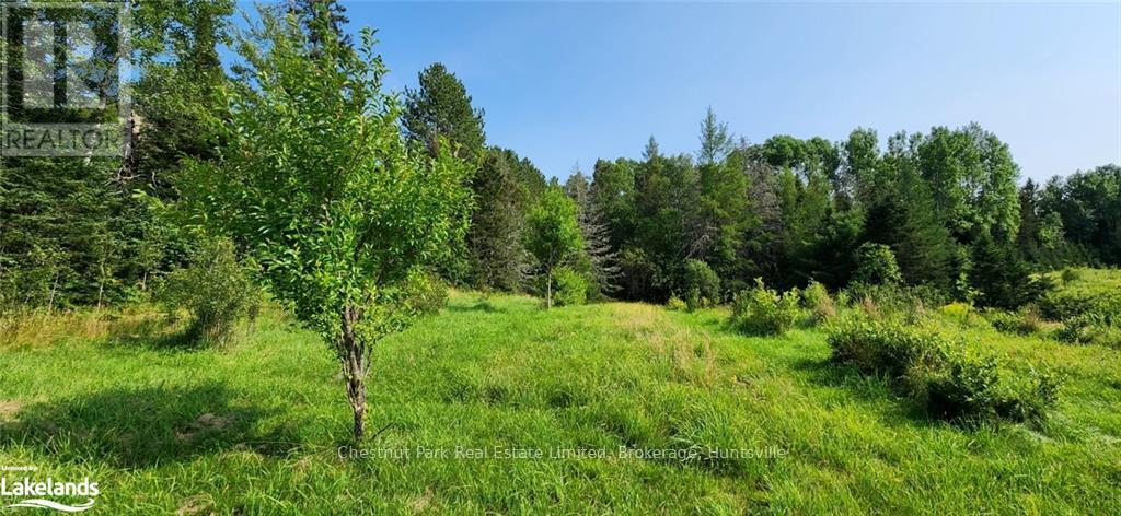 0 Pearceley Road, Magnetawan, Ontario  P0A 1Z0 - Photo 10 - X10434645