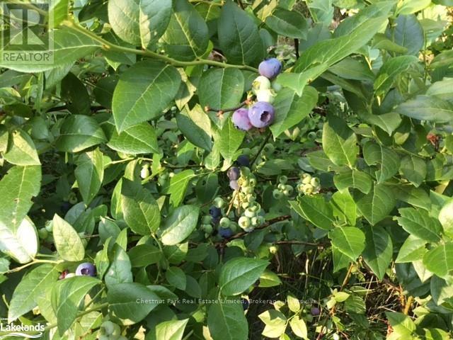 0 Pearceley Road, Magnetawan, Ontario  P0A 1Z0 - Photo 11 - X10434645