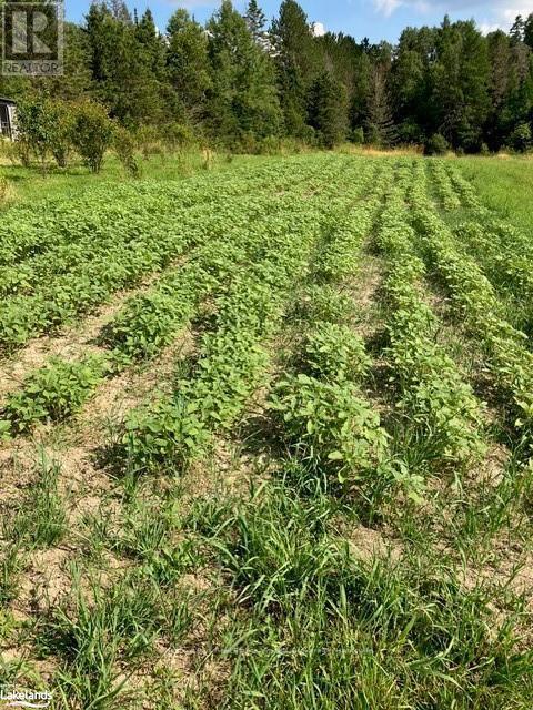 0 Pearceley Road, Magnetawan, Ontario  P0A 1Z0 - Photo 12 - X10434645