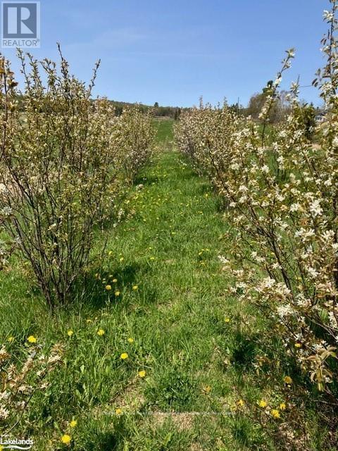 0 Pearceley Road, Magnetawan, Ontario  P0A 1Z0 - Photo 14 - X10434645