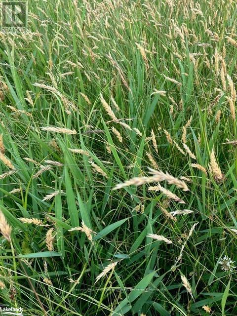 0 Pearceley Road, Magnetawan, Ontario  P0A 1Z0 - Photo 16 - X10434645