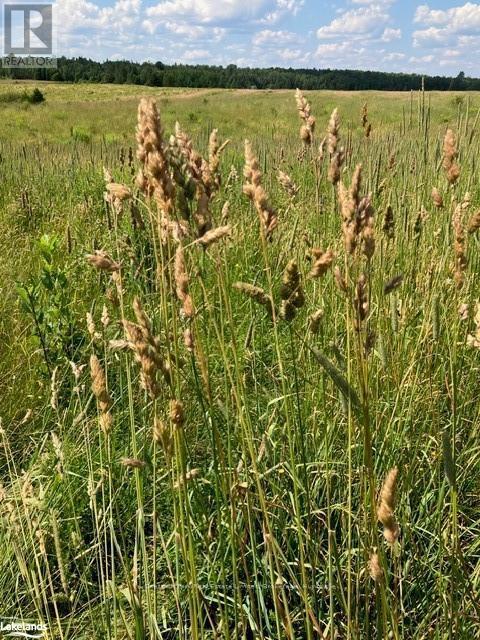 0 Pearceley Road, Magnetawan, Ontario  P0A 1Z0 - Photo 19 - X10434645