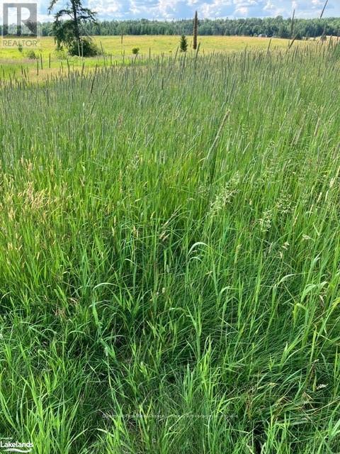 0 Pearceley Road, Magnetawan, Ontario  P0A 1Z0 - Photo 20 - X10434645