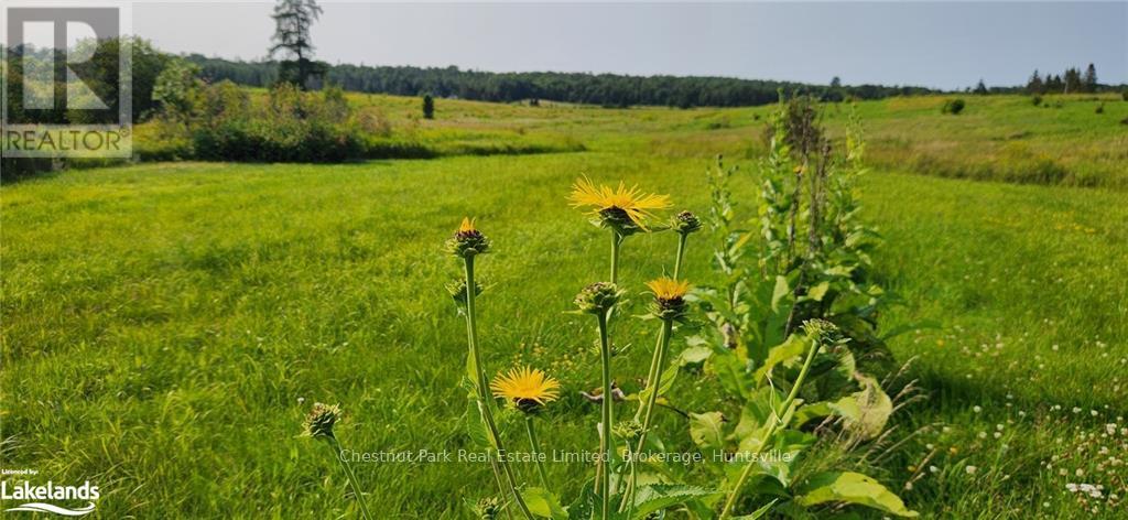 0 Pearceley Road, Magnetawan, Ontario  P0A 1Z0 - Photo 21 - X10434645
