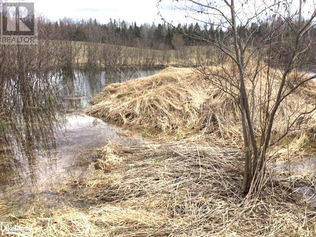 0 Pearceley Road, Magnetawan, Ontario  P0A 1Z0 - Photo 29 - X10434645