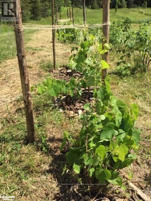 0 Pearceley Road, Magnetawan, Ontario  P0A 1Z0 - Photo 5 - X10434645