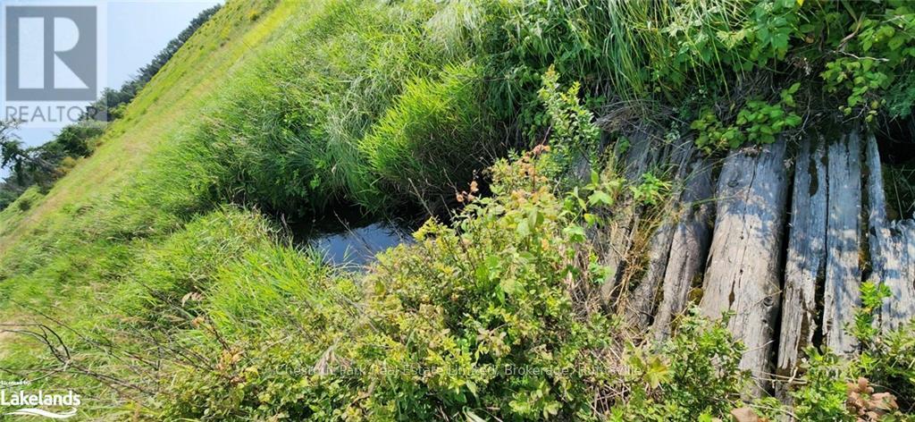 0 Pearceley Road, Magnetawan, Ontario  P0A 1Z0 - Photo 6 - X10434645