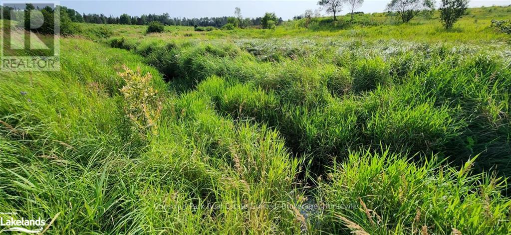 0 Pearceley Road, Magnetawan, Ontario  P0A 1Z0 - Photo 7 - X10434645