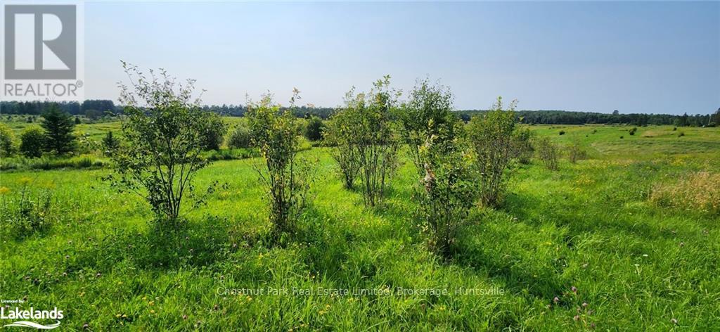 0 Pearceley Road, Magnetawan, Ontario  P0A 1Z0 - Photo 9 - X10434645