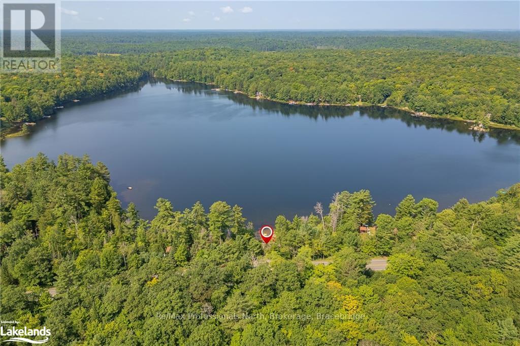 3716 Brunel Road, Lake Of Bays, Ontario  P0B 1E0 - Photo 5 - X10435137