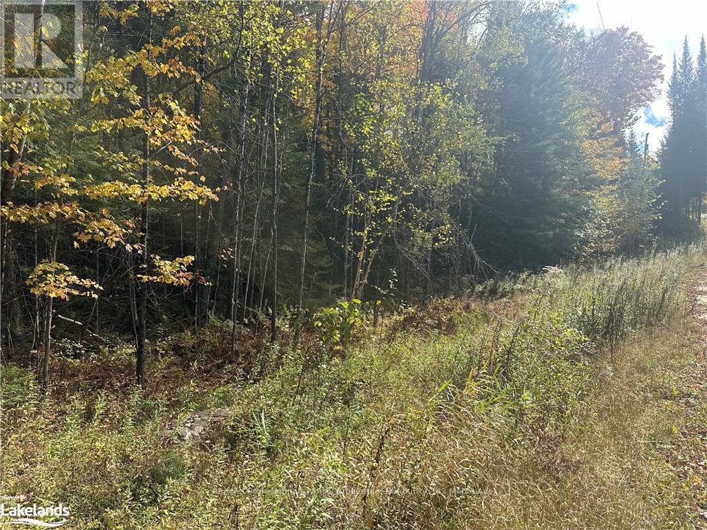 0 Parish Line Road, Dysart Et Al, Ontario  K0M 1S0 - Photo 12 - X10435675