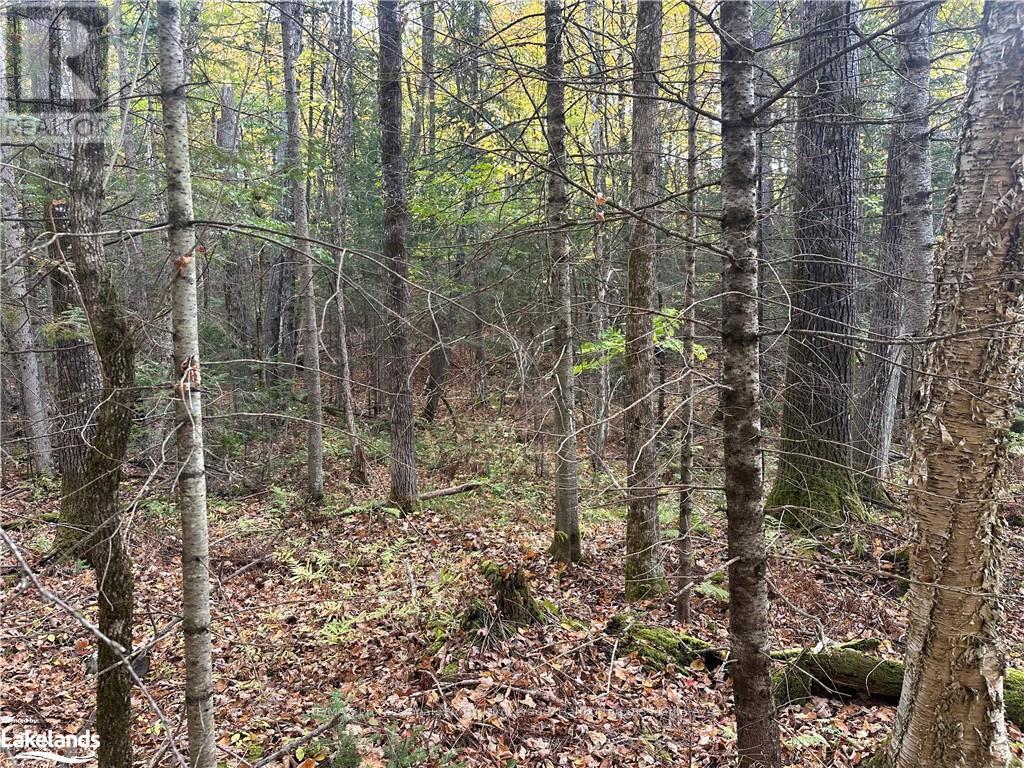 0 Parish Line Road, Dysart Et Al, Ontario  K0M 1S0 - Photo 14 - X10435675