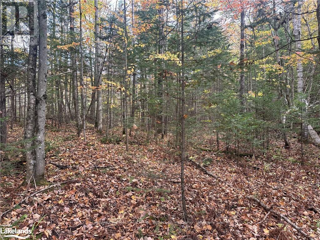 0 Parish Line Road, Dysart Et Al, Ontario  K0M 1S0 - Photo 15 - X10435675