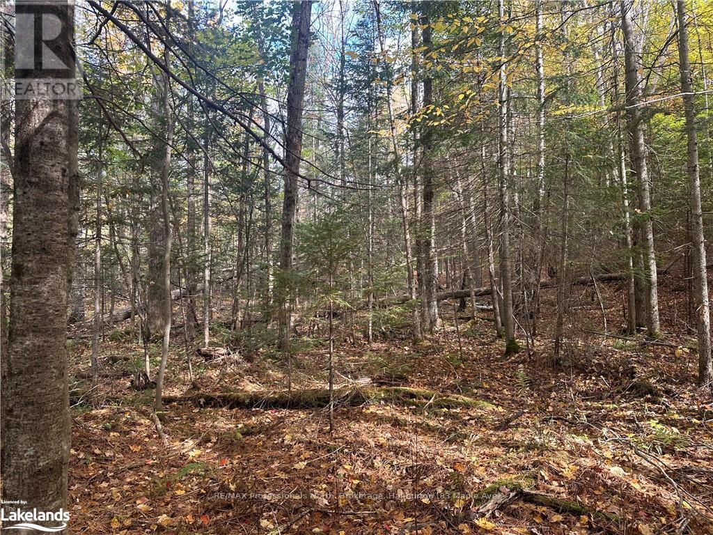 0 Parish Line Road, Dysart Et Al, Ontario  K0M 1S0 - Photo 16 - X10435675