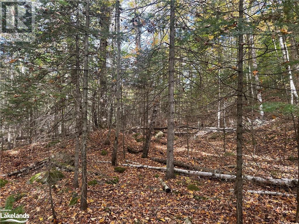 0 Parish Line Road, Dysart Et Al, Ontario  K0M 1S0 - Photo 18 - X10435675