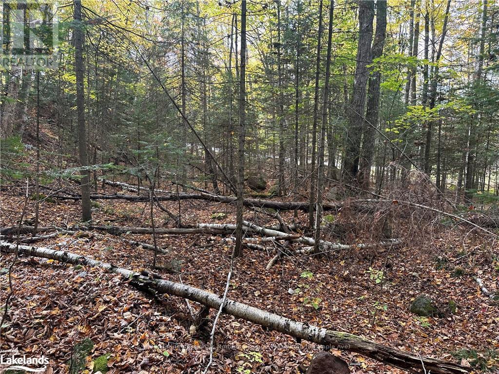 0 Parish Line Road, Dysart Et Al, Ontario  K0M 1S0 - Photo 19 - X10435675