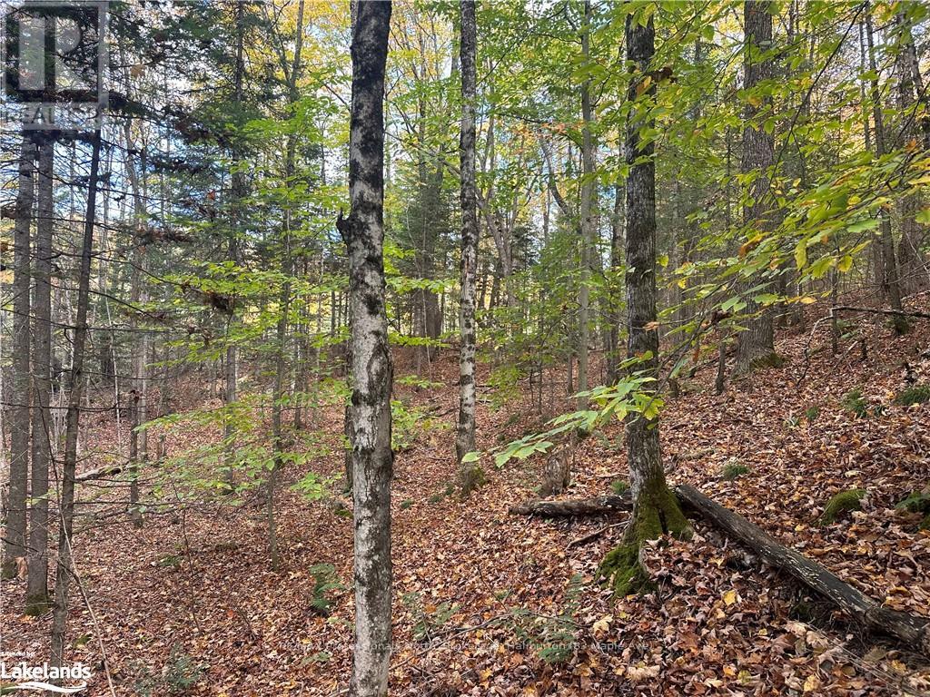 0 Parish Line Road, Dysart Et Al, Ontario  K0M 1S0 - Photo 20 - X10435675