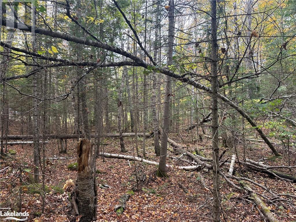 0 Parish Line Road, Dysart Et Al, Ontario  K0M 1S0 - Photo 21 - X10435675