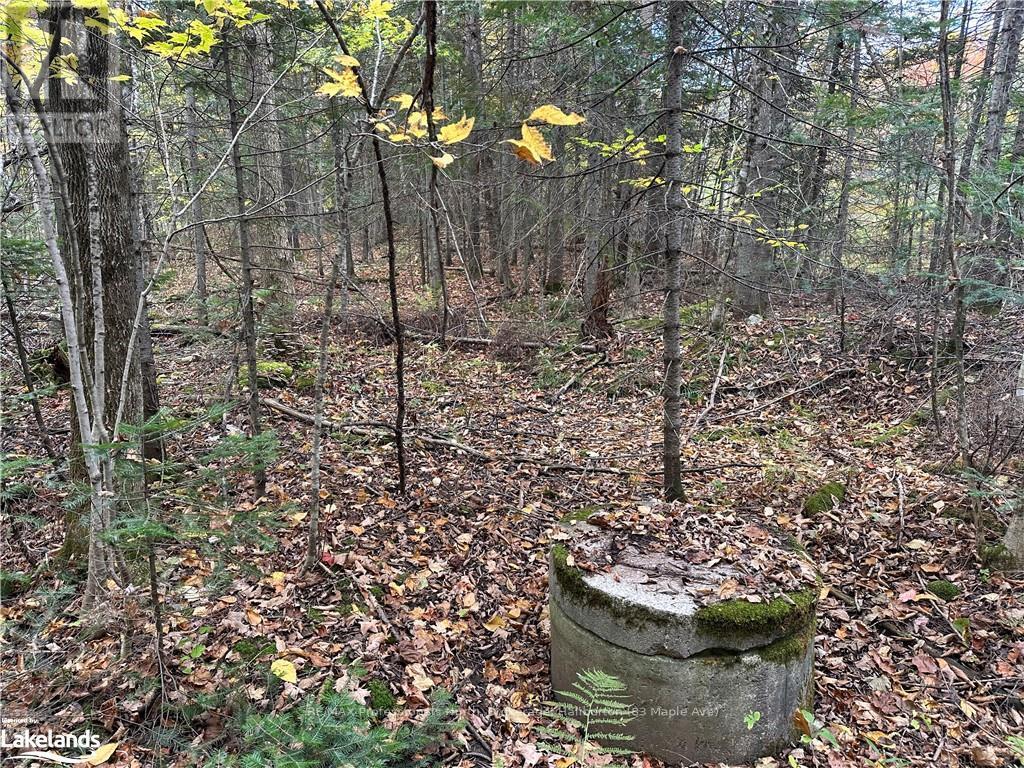 0 Parish Line Road, Dysart Et Al, Ontario  K0M 1S0 - Photo 22 - X10435675