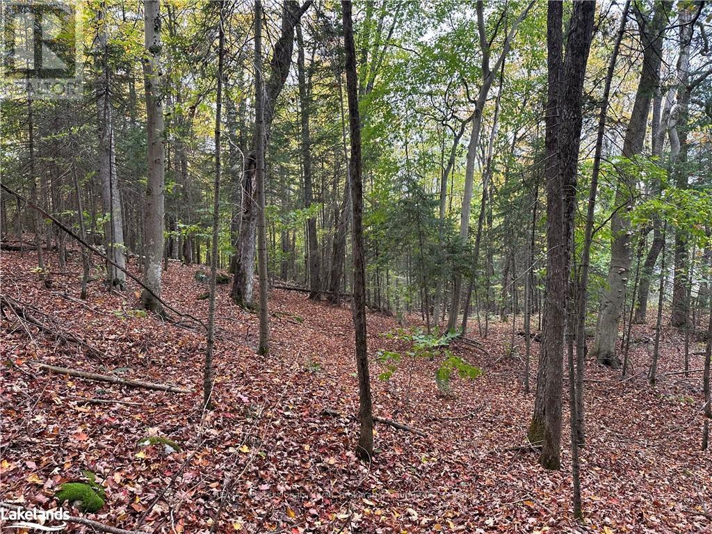 0 Parish Line Road, Dysart Et Al, Ontario  K0M 1S0 - Photo 23 - X10435675