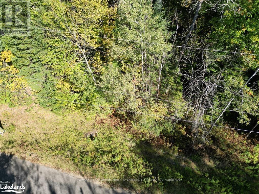 0 Parish Line Road, Dysart Et Al, Ontario  K0M 1S0 - Photo 6 - X10435675