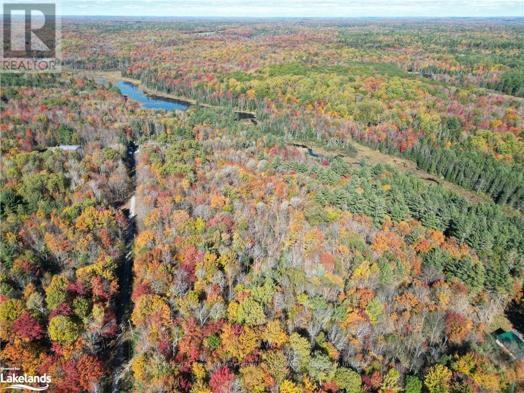 1173 Gelert Road, Minden Hills, Ontario  K0M 2K0 - Photo 13 - X10435941