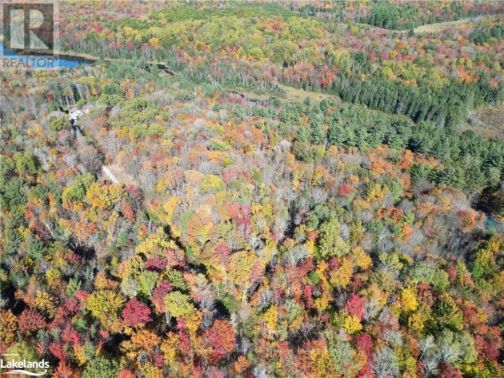 1173 Gelert Road, Minden Hills, Ontario  K0M 2K0 - Photo 14 - X10435941