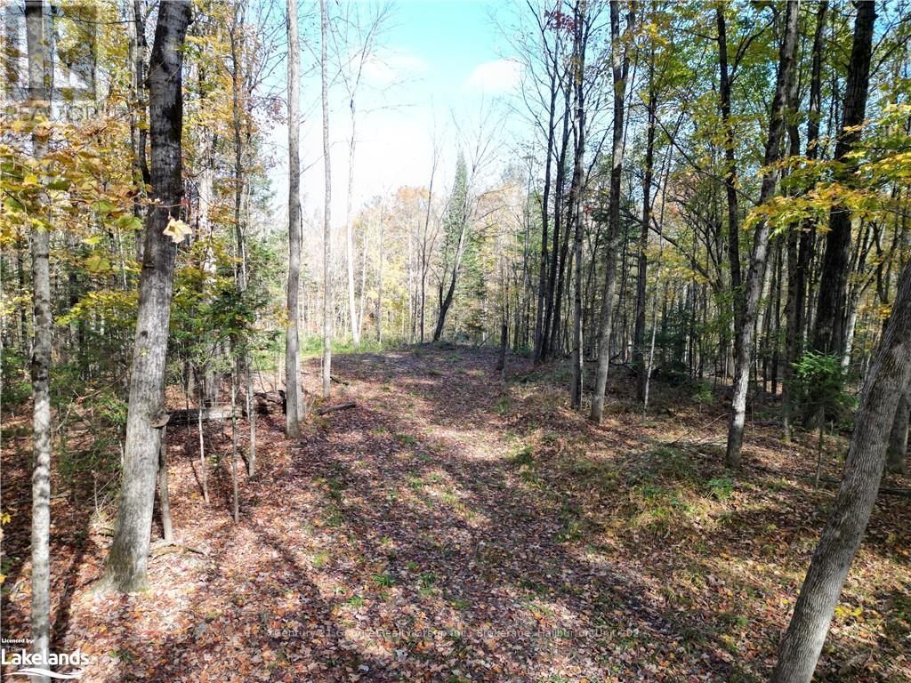 1173 Gelert Road, Minden Hills, Ontario  K0M 2K0 - Photo 2 - X10435941