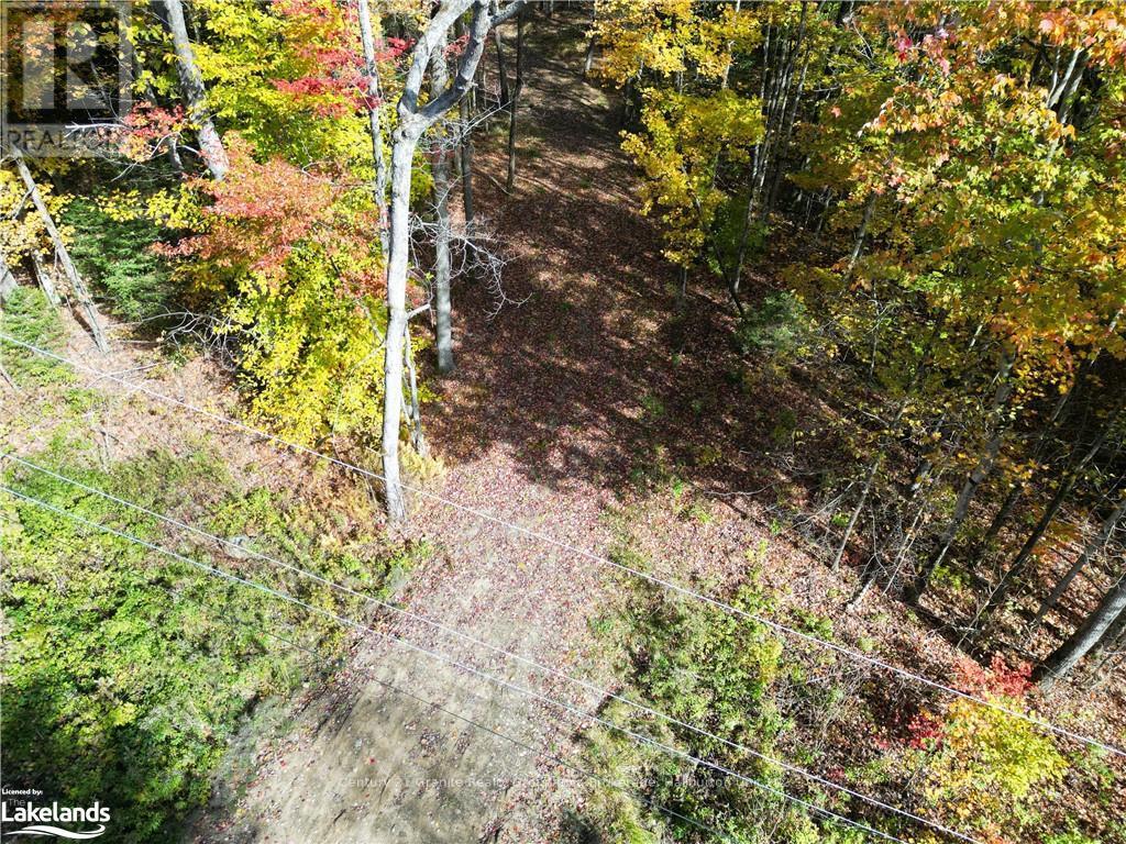 1173 Gelert Road, Minden Hills, Ontario  K0M 2K0 - Photo 3 - X10435941