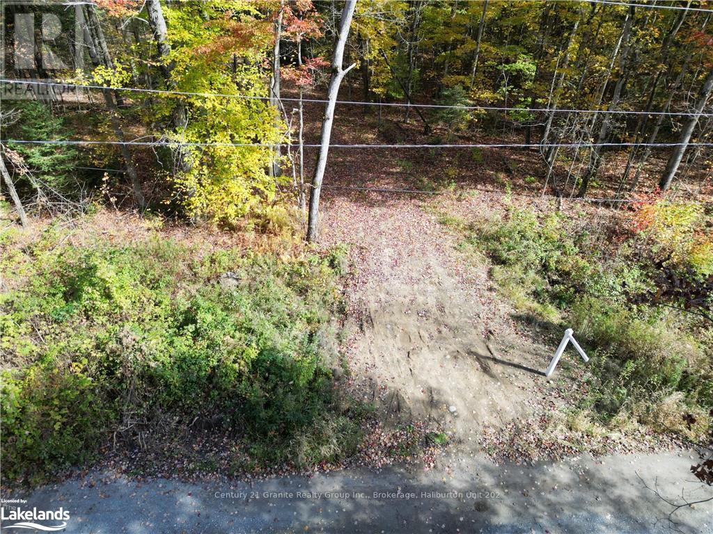 1173 Gelert Road, Minden Hills, Ontario  K0M 2K0 - Photo 4 - X10435941