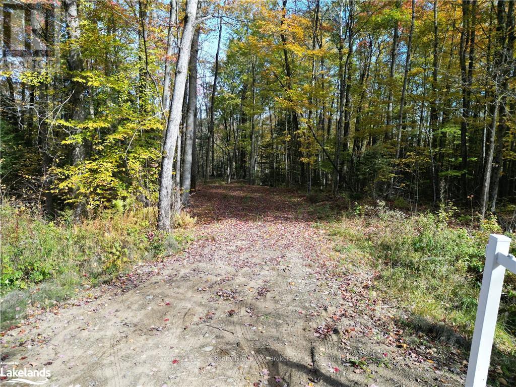 1173 Gelert Road, Minden Hills, Ontario  K0M 2K0 - Photo 5 - X10435941