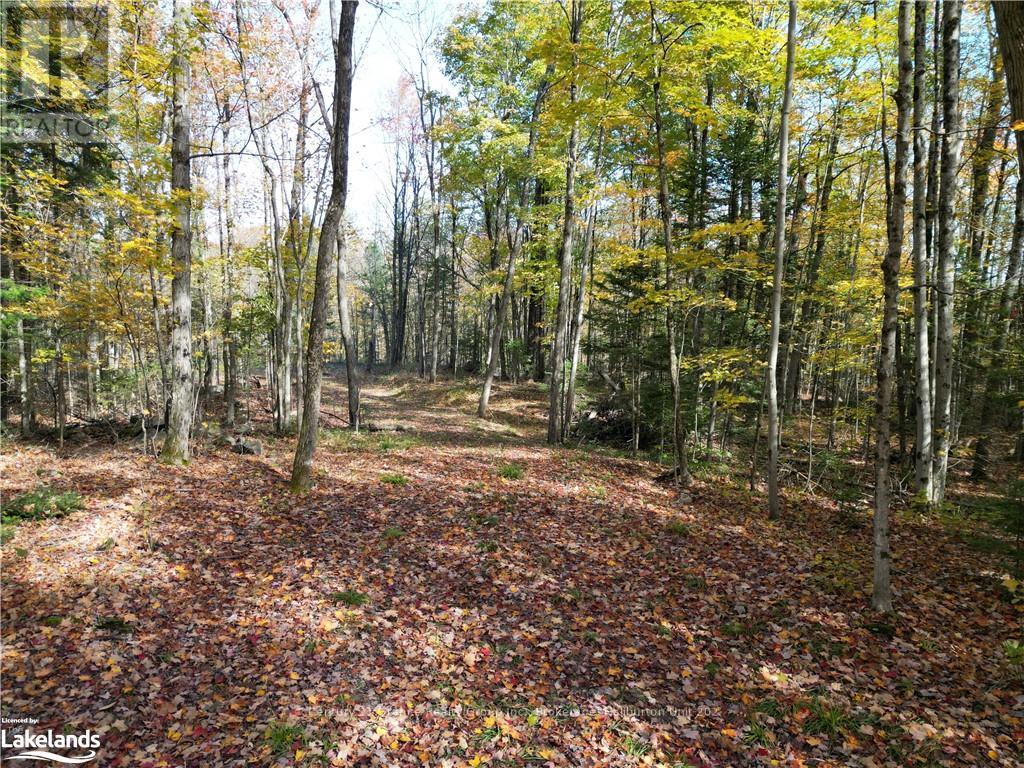 1173 Gelert Road, Minden Hills, Ontario  K0M 2K0 - Photo 6 - X10435941