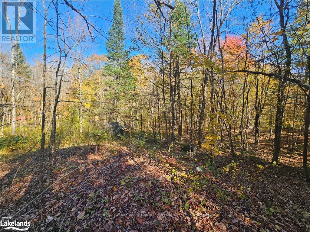 1173 Gelert Road, Minden Hills, Ontario  K0M 2K0 - Photo 9 - X10435941