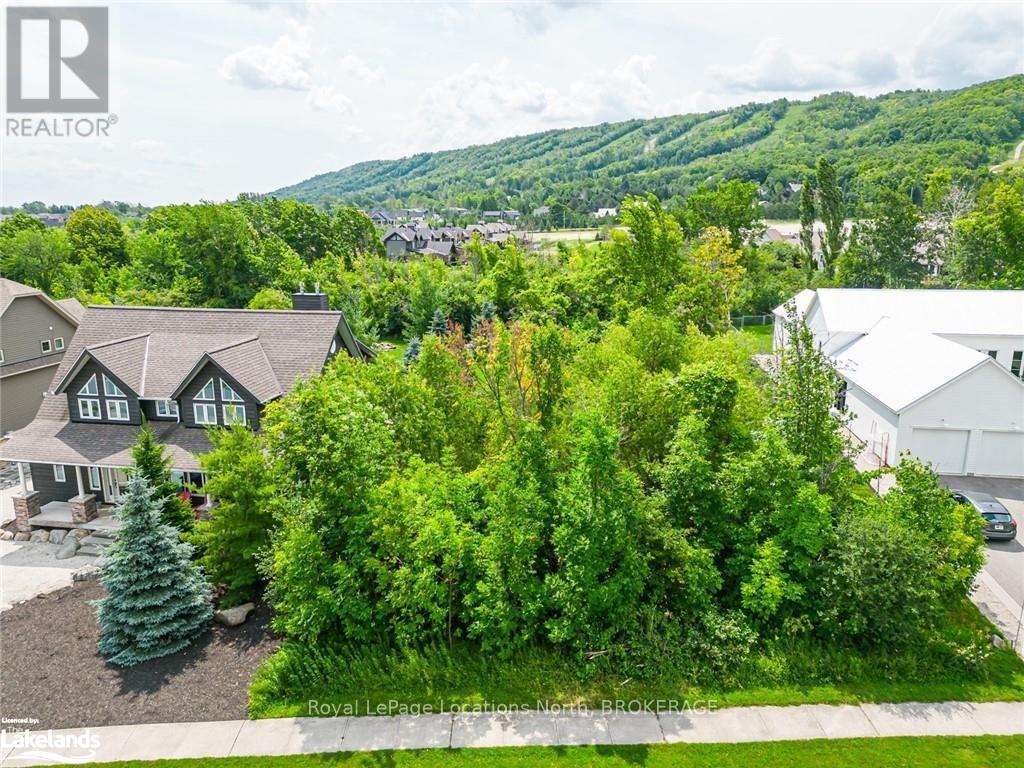 108 Alta Road W, Blue Mountains (Blue Mountain Resort Area), Ontario  L9Y 0T2 - Photo 7 - X10436176