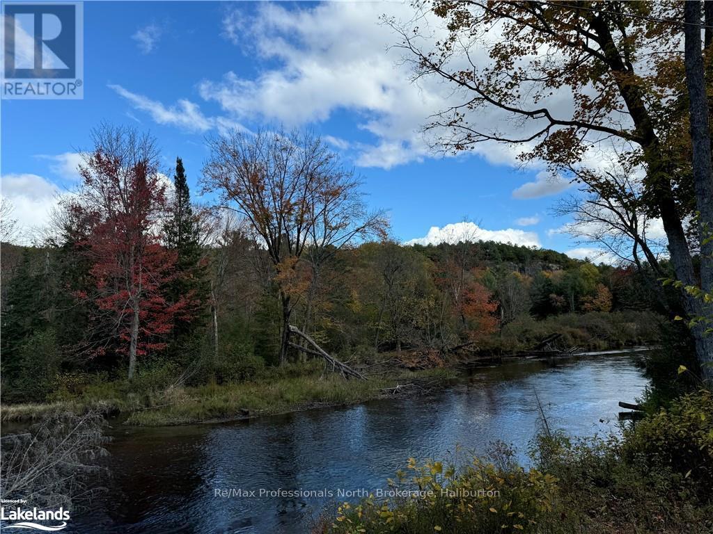 Lot 7, Algonquin Highlands (Stanhope), Ontario  K0M 1J2 - Photo 4 - X10436500