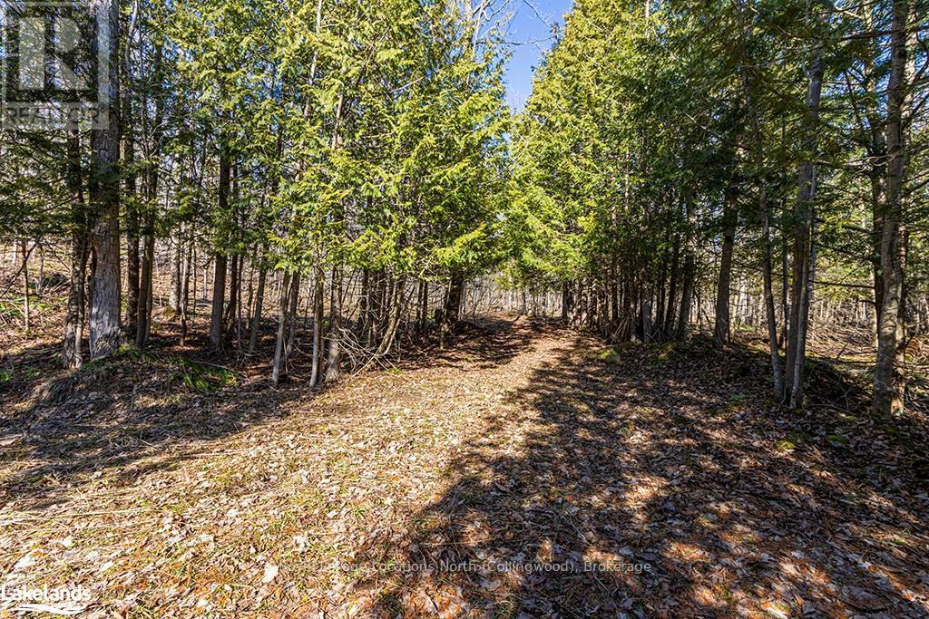 825141 Grey Road 40, Grey Highlands, Ontario  N0H 2S0 - Photo 10 - X10436629