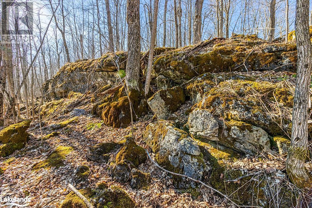 825141 Grey Road 40, Grey Highlands, Ontario  N0H 2S0 - Photo 11 - X10436629