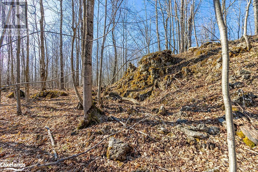 825141 Grey Road 40, Grey Highlands, Ontario  N0H 2S0 - Photo 12 - X10436629