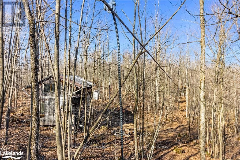 825141 Grey Road 40, Grey Highlands, Ontario  N0H 2S0 - Photo 13 - X10436629